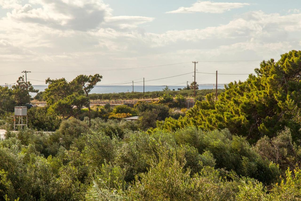 Konstantinos Villa Koutsourás Exteriör bild